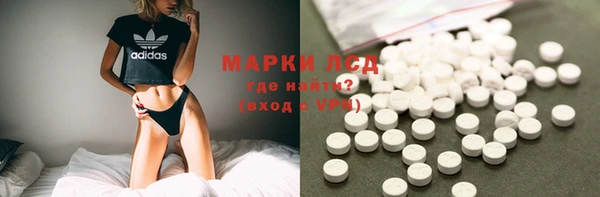 PSILOCYBIN Вяземский