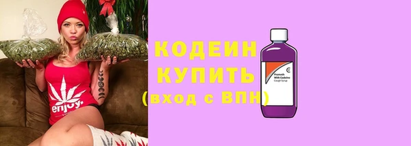 дживик Вязьма