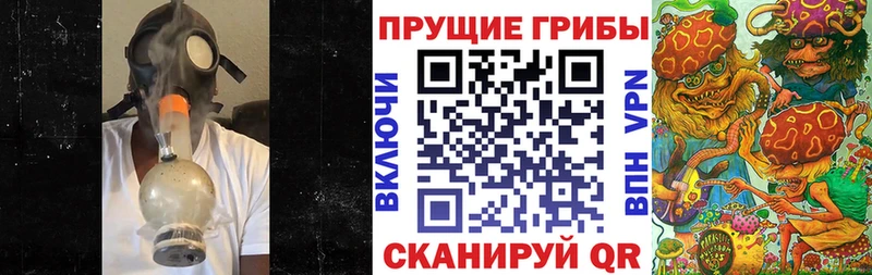 Галлюциногенные грибы Cubensis  Купить закладки  Луза 